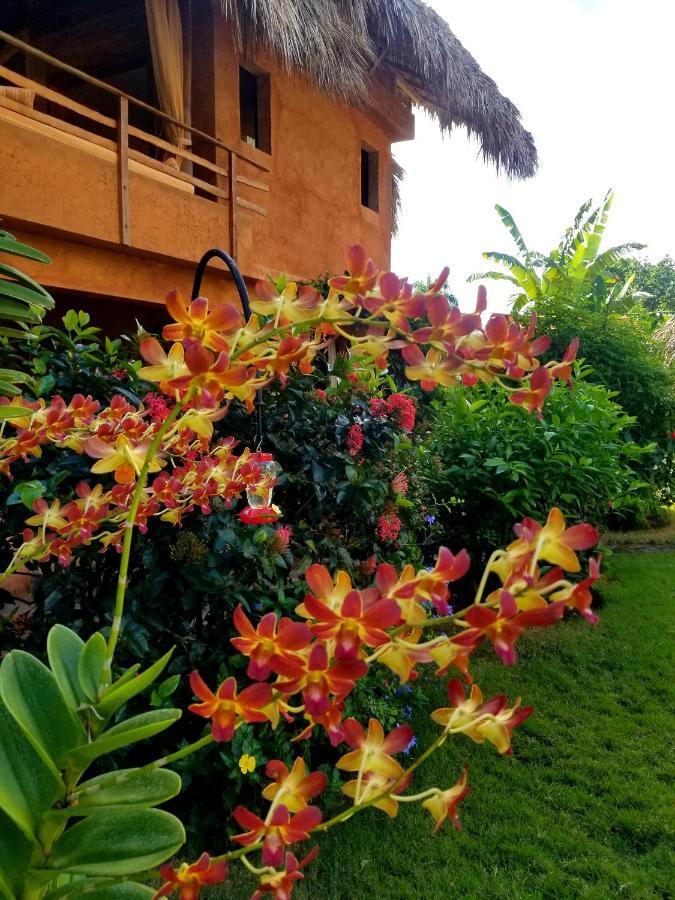 Solazul Bed & Breakfast Las Galeras Exterior photo