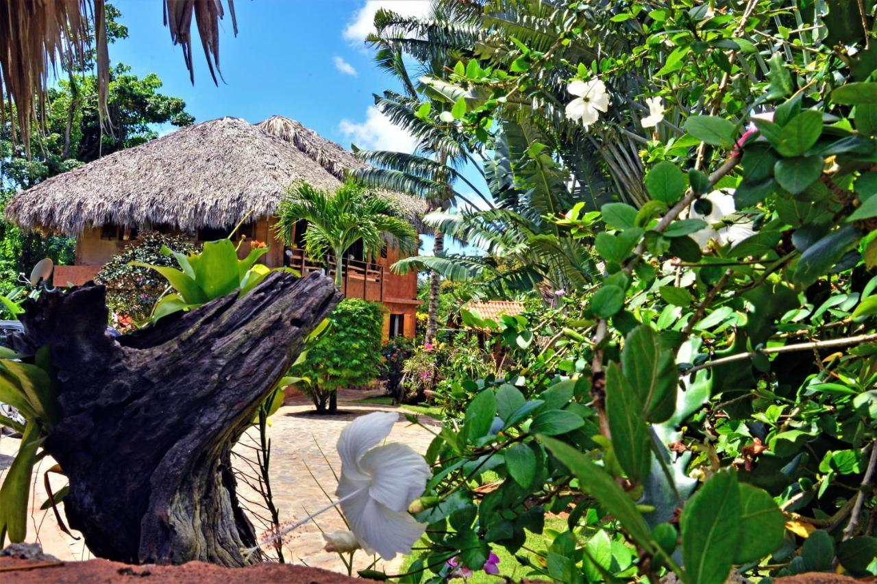 Solazul Bed & Breakfast Las Galeras Exterior photo